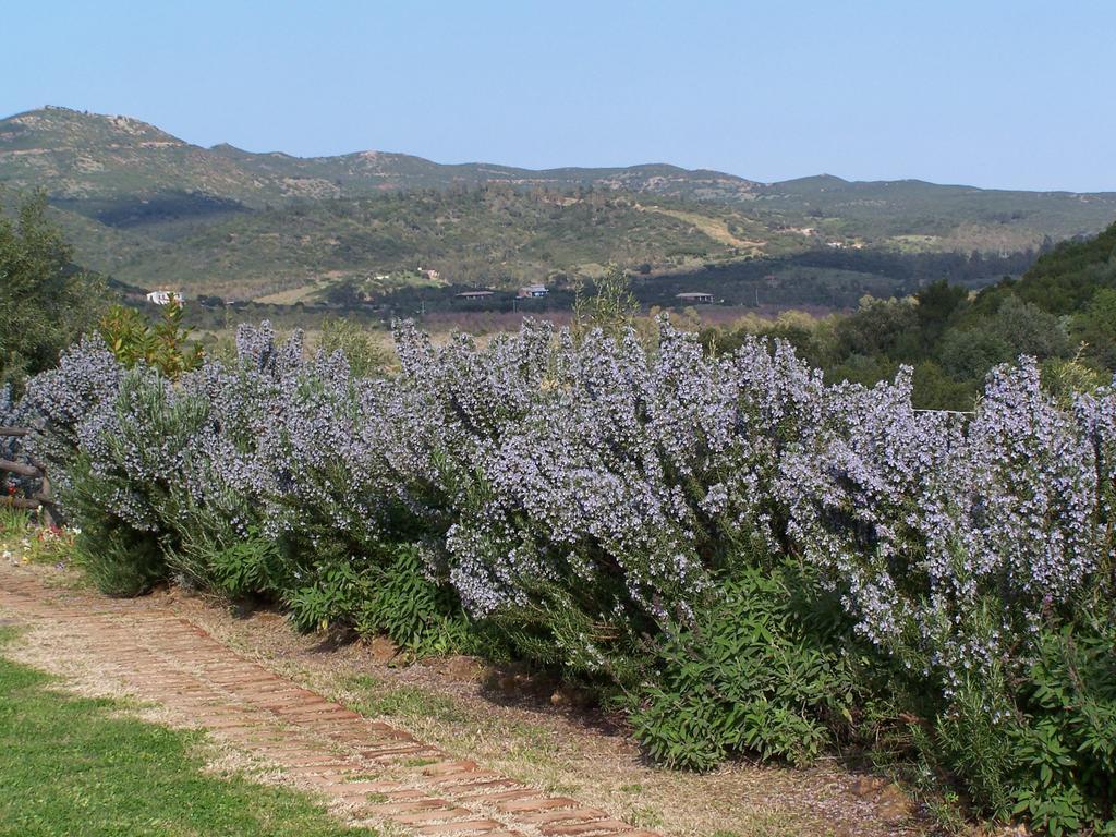 Nurazzolas Villaputzu Dış mekan fotoğraf