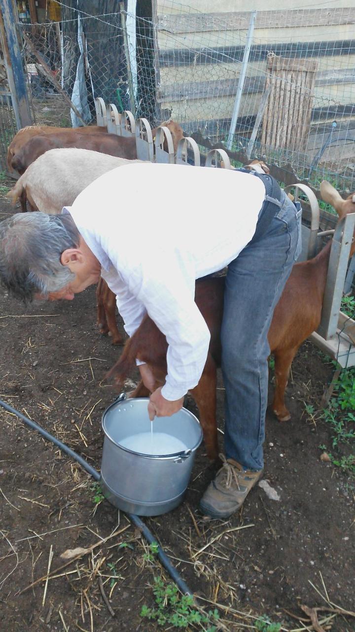 Nurazzolas Villaputzu Dış mekan fotoğraf